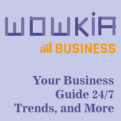 Wowkia Business Desktop Logo
